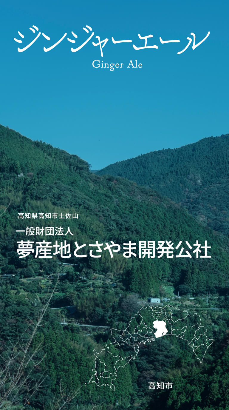 ジンジャーエール 高知県高知市土佐山 一般財団法人 夢産地とさやま開発公社